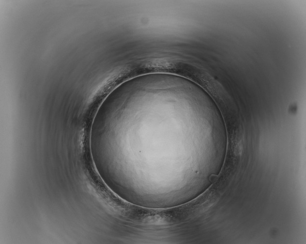 X0000112820735200908281530