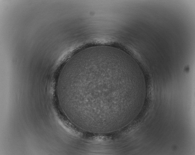X0000112820736200908281530