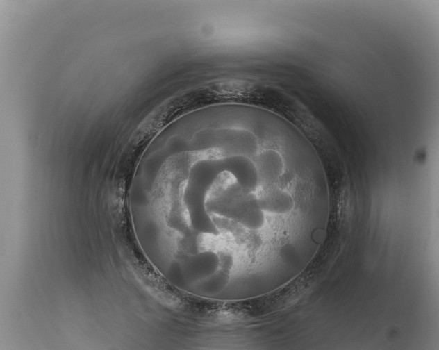 X0000112820737200908281530