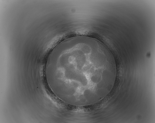 X0000112820738200908281530