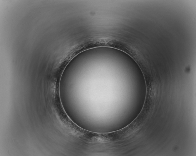 X0000112820739200908281530