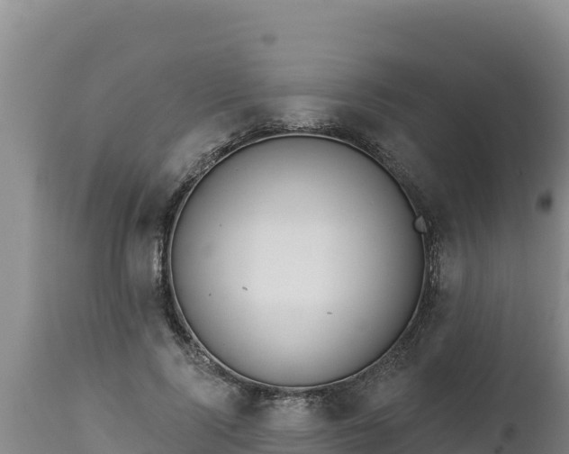 X0000112820740200908281530