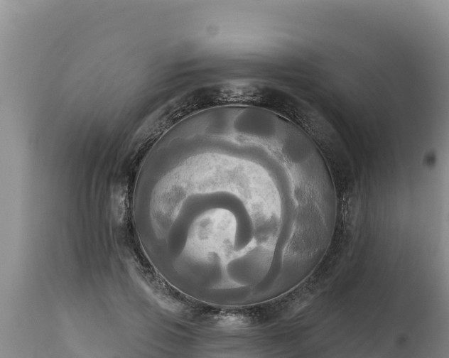 X0000112820741200908281530