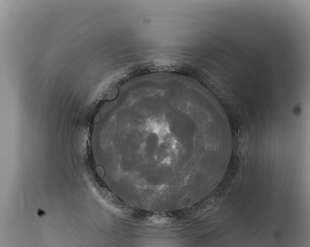 X0000112820742200908281530