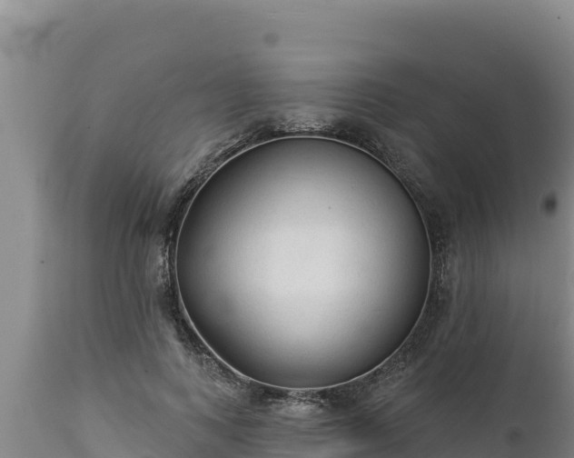 X0000112820743200908281530