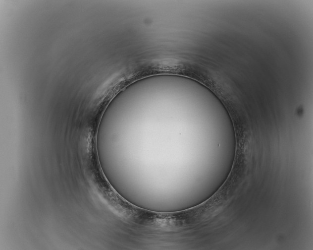 X0000112820744200908281530