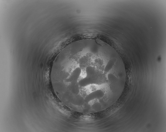 X0000112820745200908281530