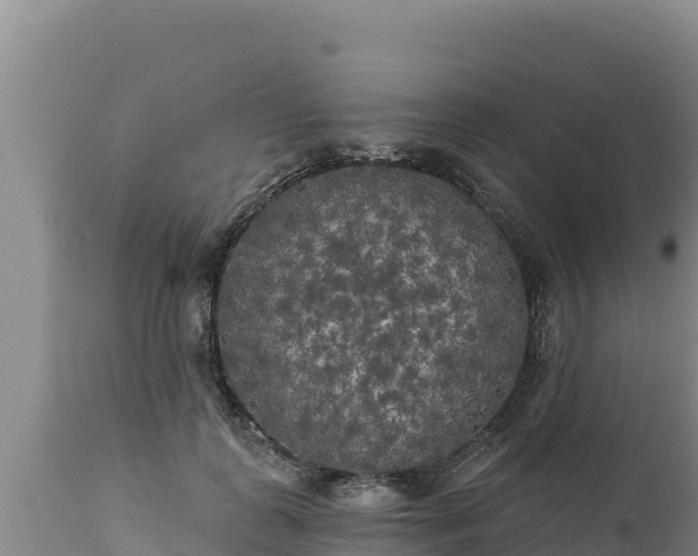 X0000112820747200908281530