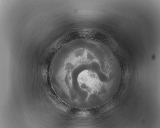 X0000112820749200908281530