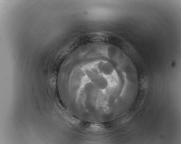 X0000112820753200908281531