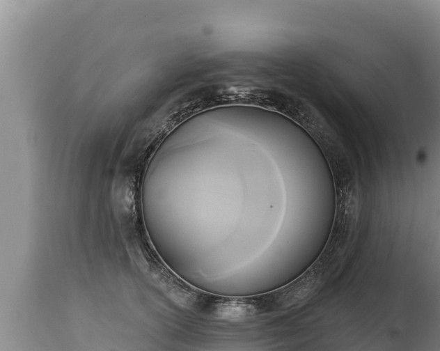 X0000112820754200908281531