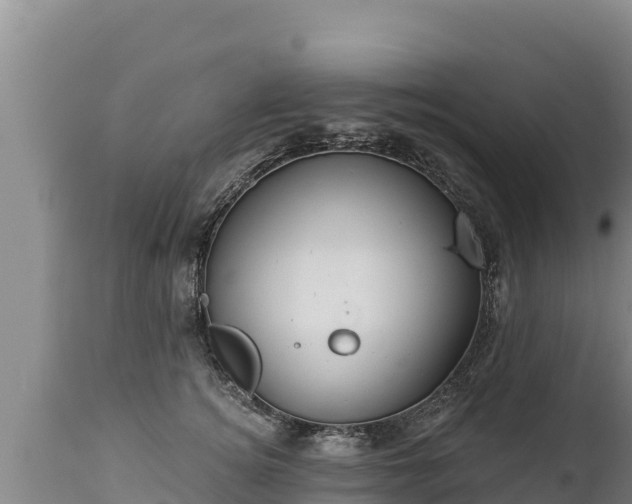 X0000112820756200908281531