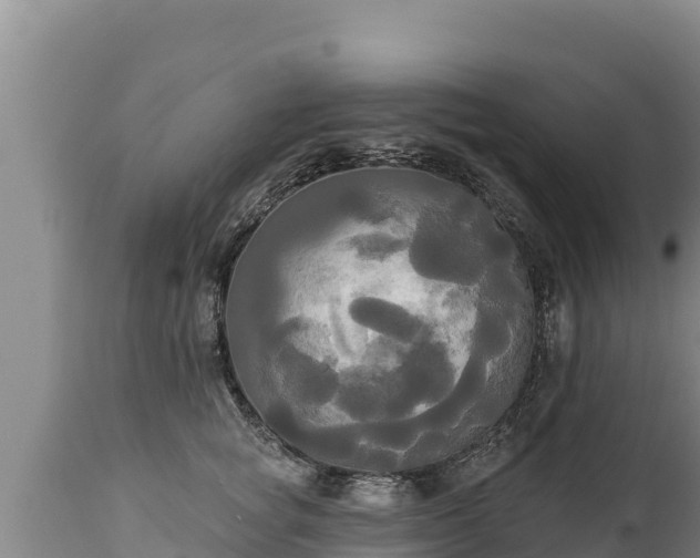 X0000112820757200908281531