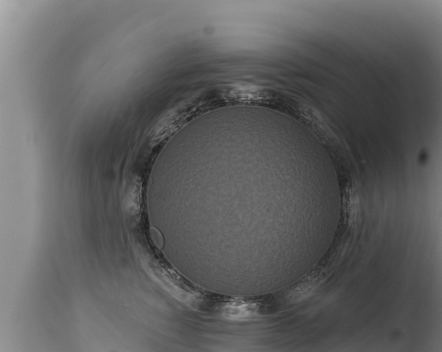 X0000112820760200908281531