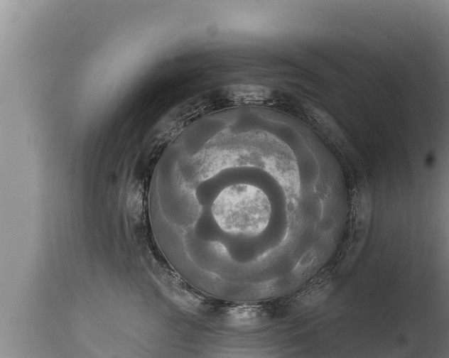X0000112820761200908281531