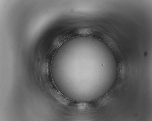 X0000112820762200908281531