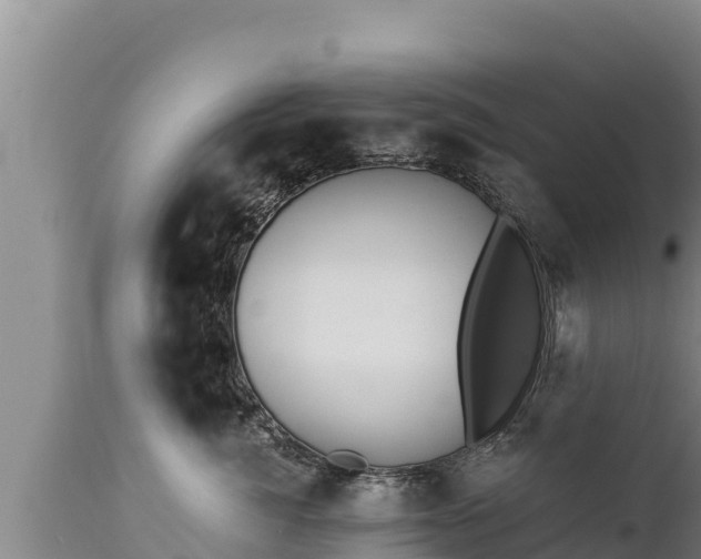 X0000112820764200908281531