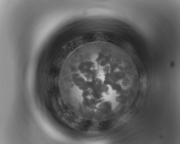 X0000112820765200908281531