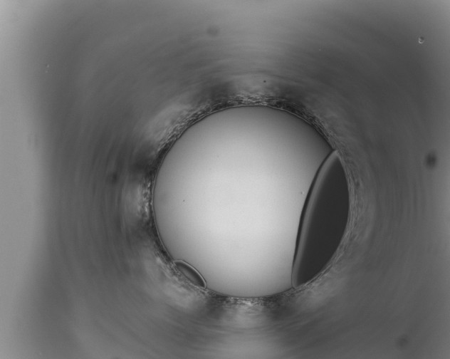 X0000112820768200908281531