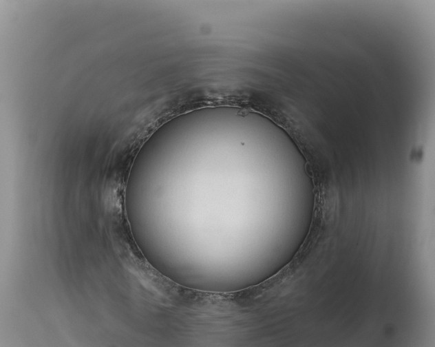 X0000112820770200908281530