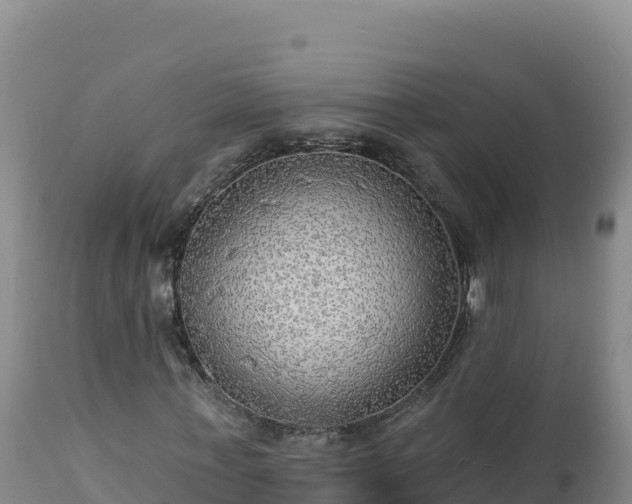 X0000112820771200908281530