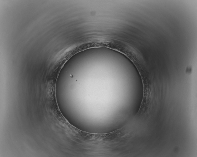 X0000112820773200908281530