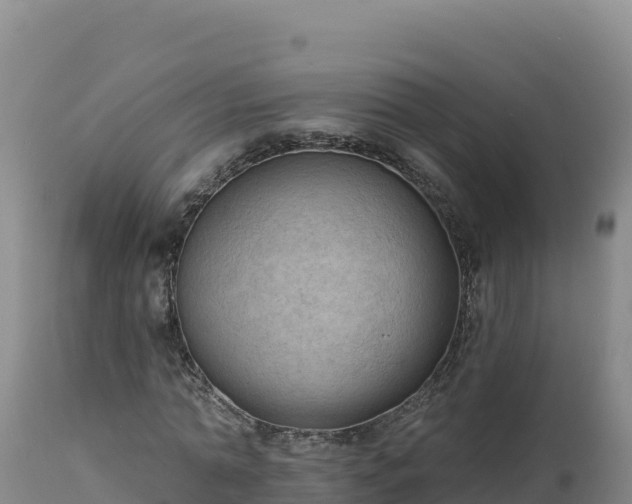 X0000112820774200908281530