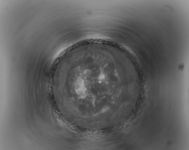 X0000112820775200908281530