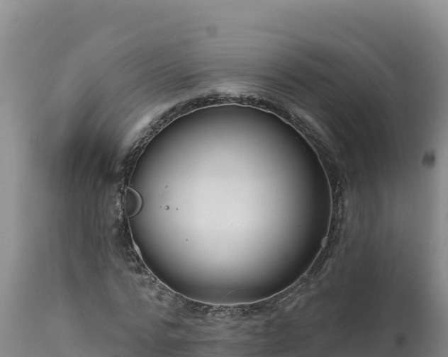 X0000112820776200908281530