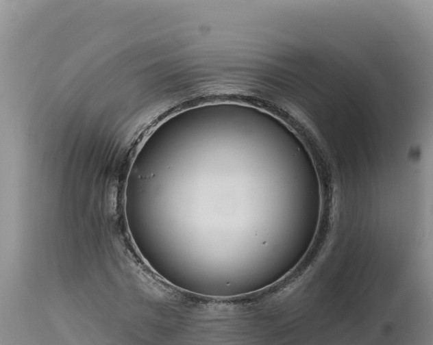 X0000112820777200908281530