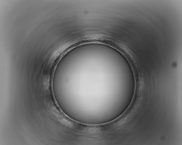 X0000112820778200908281530