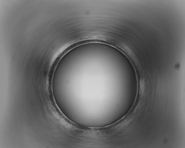 X0000112820780200908281530