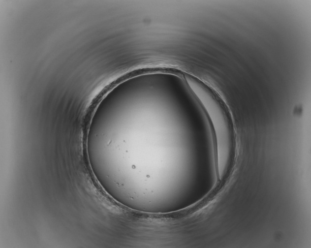X0000112820781200908281530