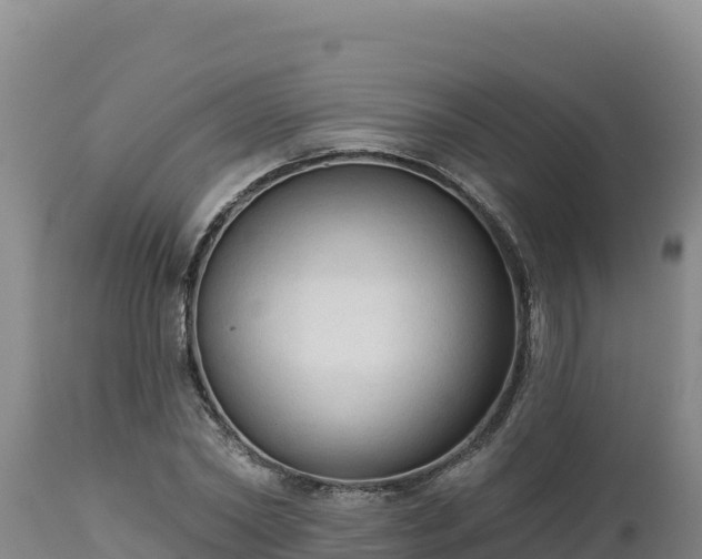 X0000112820782200908281530