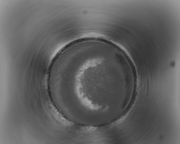 X0000112820783200908281530