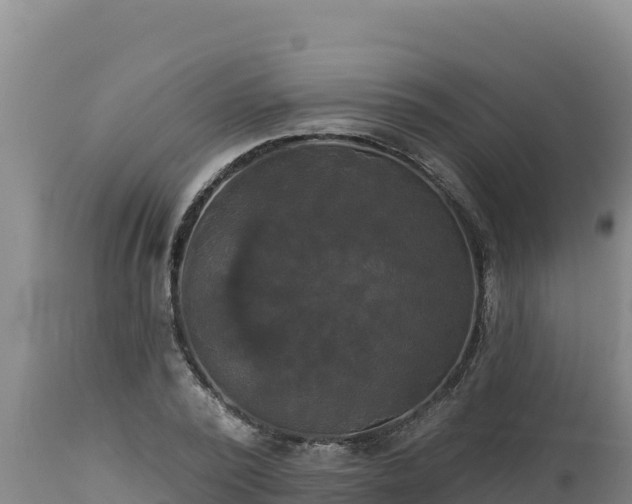 X0000112820784200908281530