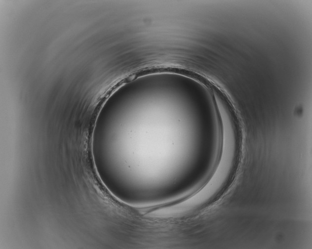 X0000112820785200908281530