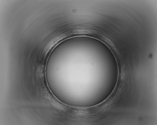 X0000112820786200908281530