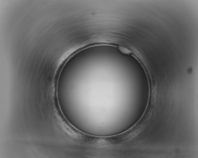 X0000112820787200908281530