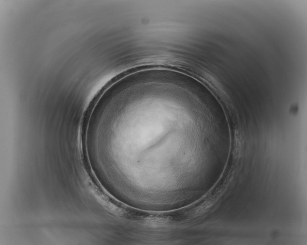 X0000112820788200908281530