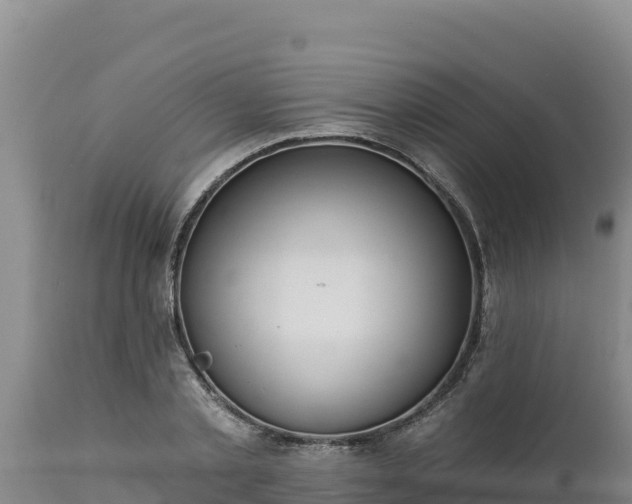X0000112820789200908281530