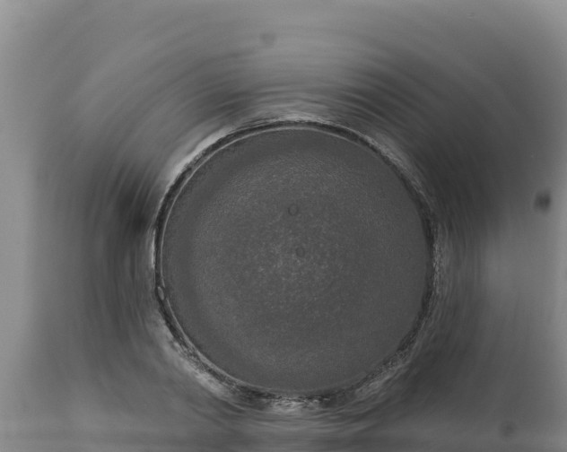 X0000112820790200908281530