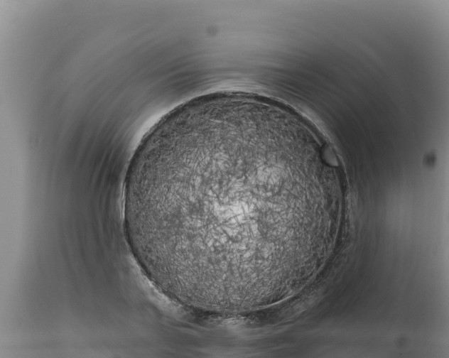 X0000112820791200908281530