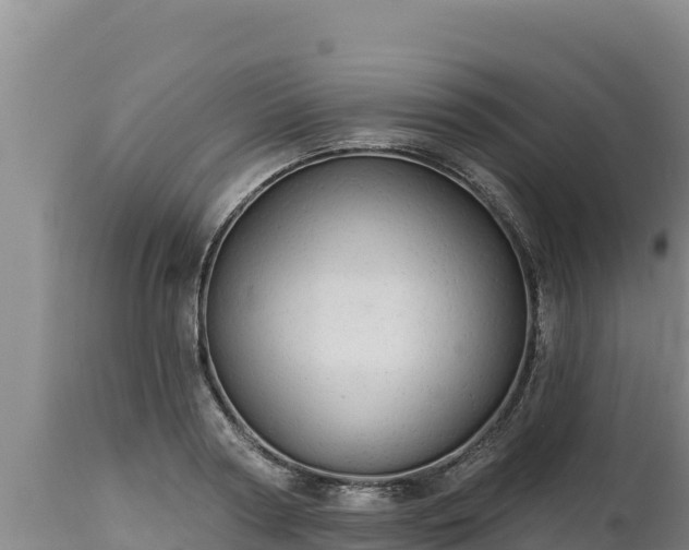 X0000112820794200908281530