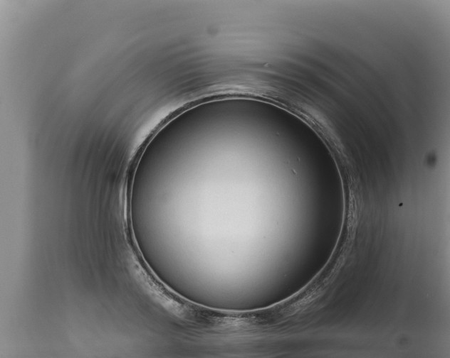 X0000112820796200908281530