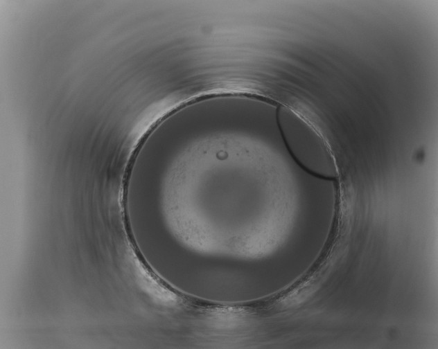 X0000112820797200908281530