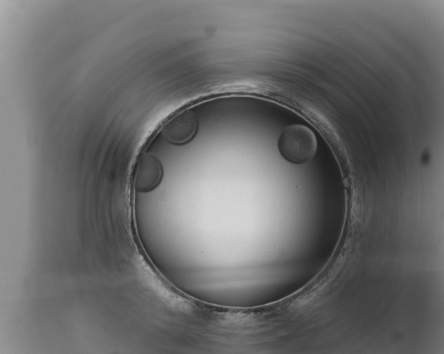 X0000112820800200908281530