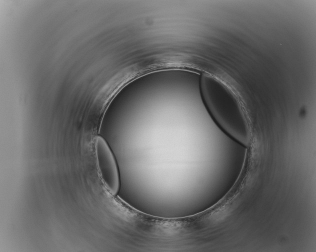 X0000112820801200908281530