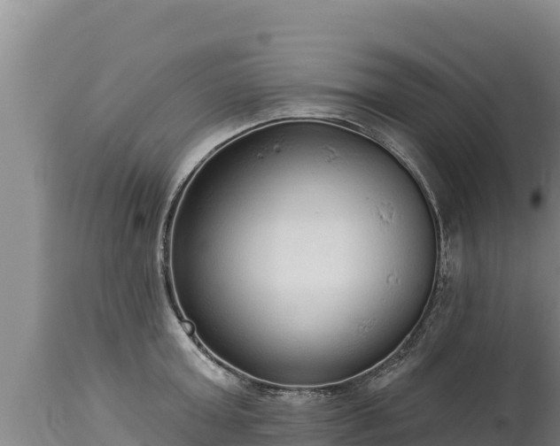 X0000112820803200908281530