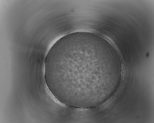 X0000112820804200908281530